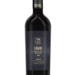 Dávid 2020