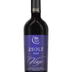 Zsolt Virgo 2020